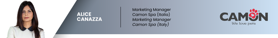 banner camon